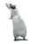Medlem utan bild