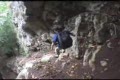 En levande glidflygare