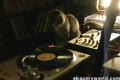 en katt som spelar dj