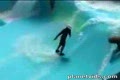 Att surfa i en pool
