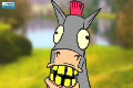 Amazing Horse - Weebel's Stuff [HD]