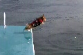 Hund magplask