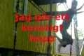 MEGAFAIL!!!