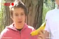Bananbuset