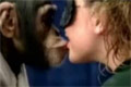 Tjejer kysser apor