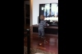 Britney spears dance. 1,5 years old baby!