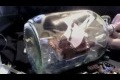 Ship in a Bottle Without Sound