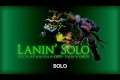 League of Legends PARODY - "Lanin' Solo" by Isolte, Cody [Songs of the Summoned 2]
