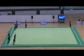 Japansk synkroniserad gymnastik