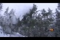 Three Swedes Tree Stunt Fail