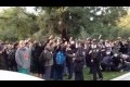 Polis VS studenter vid UC Davis