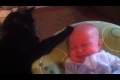 Katt lugnar bebis
