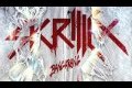 SKRILLEX - RIGHT ON TIME (12TH PLANET & KILL THE NOISE)