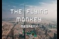 MegaEnx- The flying monkey