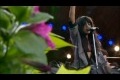 Loreen - Euphoria Special Drum remix LIVE 10th of July 2012 [HD]