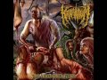 Kraanium - Post Mortal Coital Fixation [Full-Album]