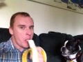 Eftermiddags-banan