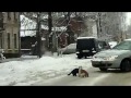 Cat fight i ryssland