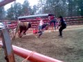 Two Bulls + Bull Rider = Rodeo Clown Fail