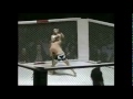 Brutal MMA knockout