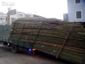 Hur man lastar av en lastbil i Taiwan