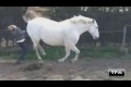 Woman owned by Horse Fail