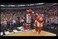 Chicago Bulls Luvabull Cheerleader Surprised With Marriage Proposal During Bulls/Heat Game