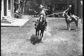 Will Rogers - The Ropin' Fool