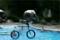 Cykelhopp ner i pool